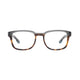 480 - Havana Dark Brown with Asphalt Gray